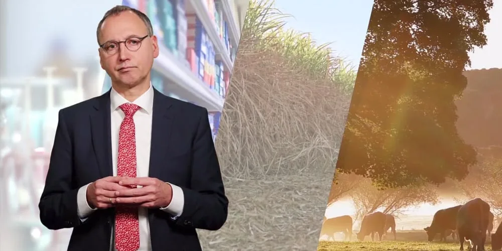 Bayer AG - 2017